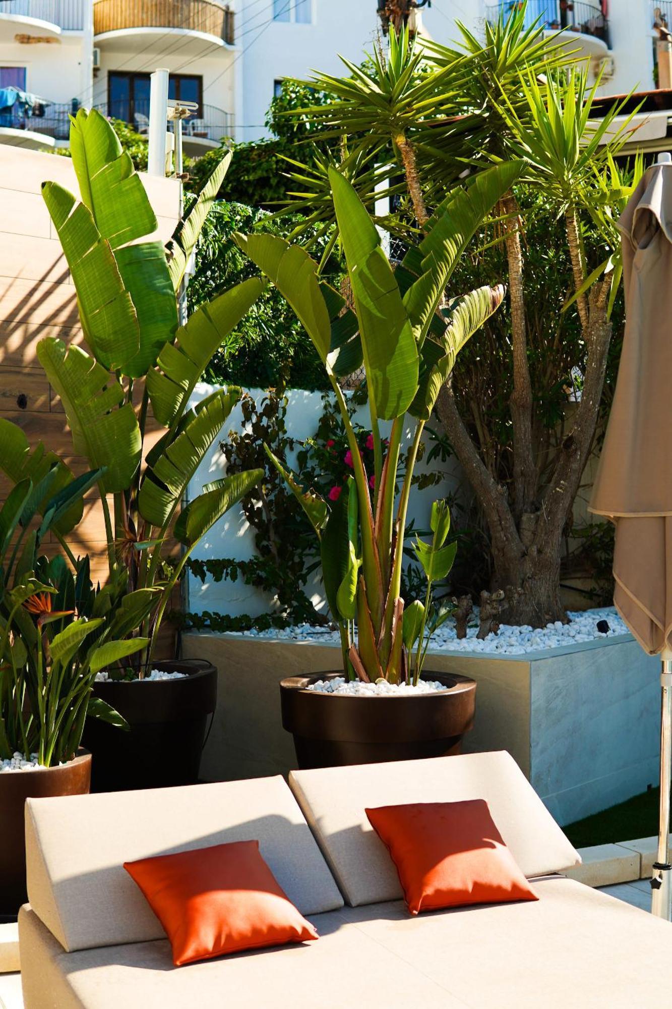 Typic Oasis Sa Tanca Apartment