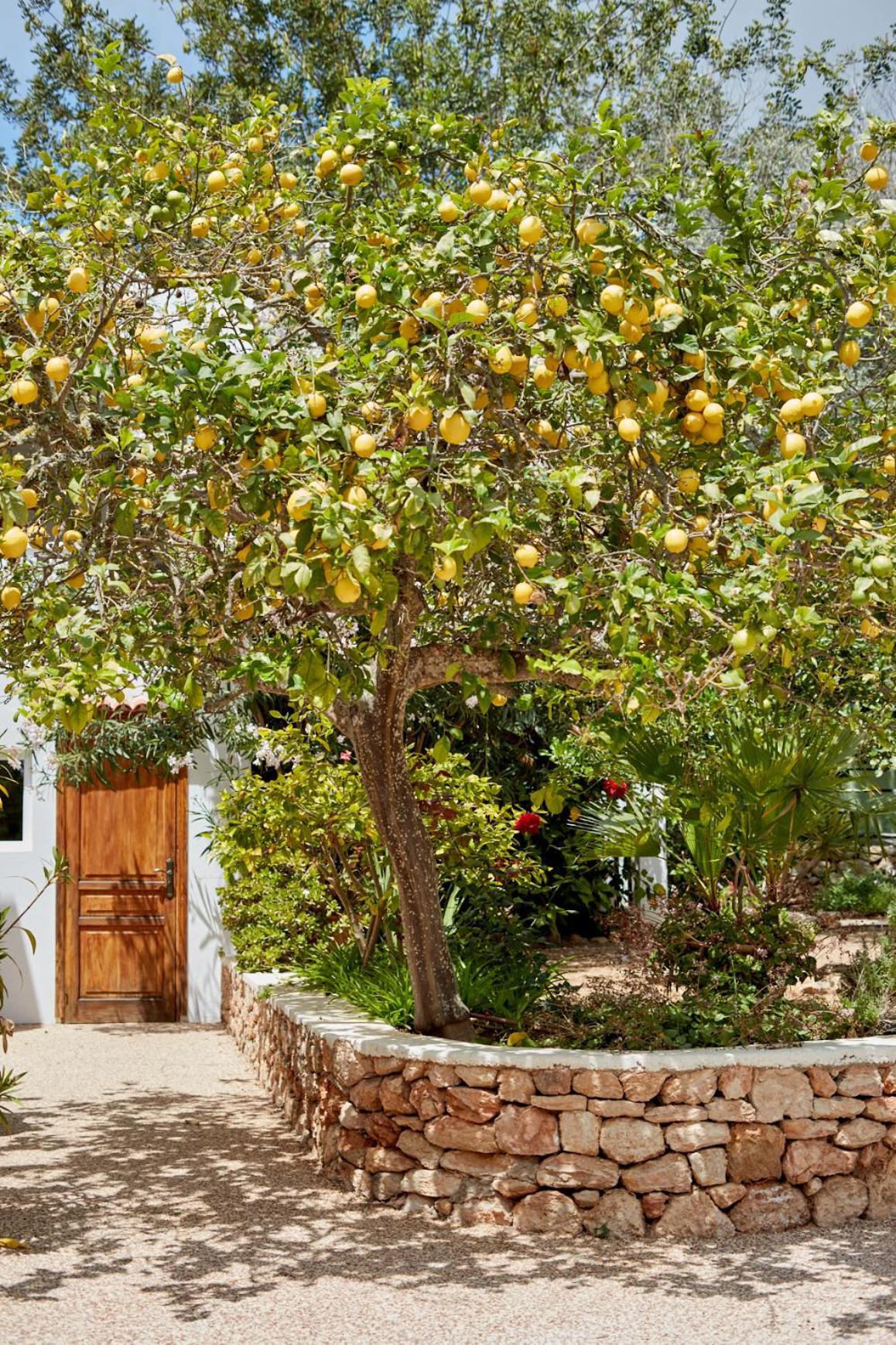 Ca Sa Vilda Marge Agroturismo
