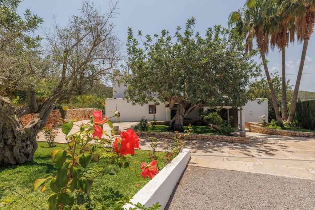 Villa Casa San Carlos *