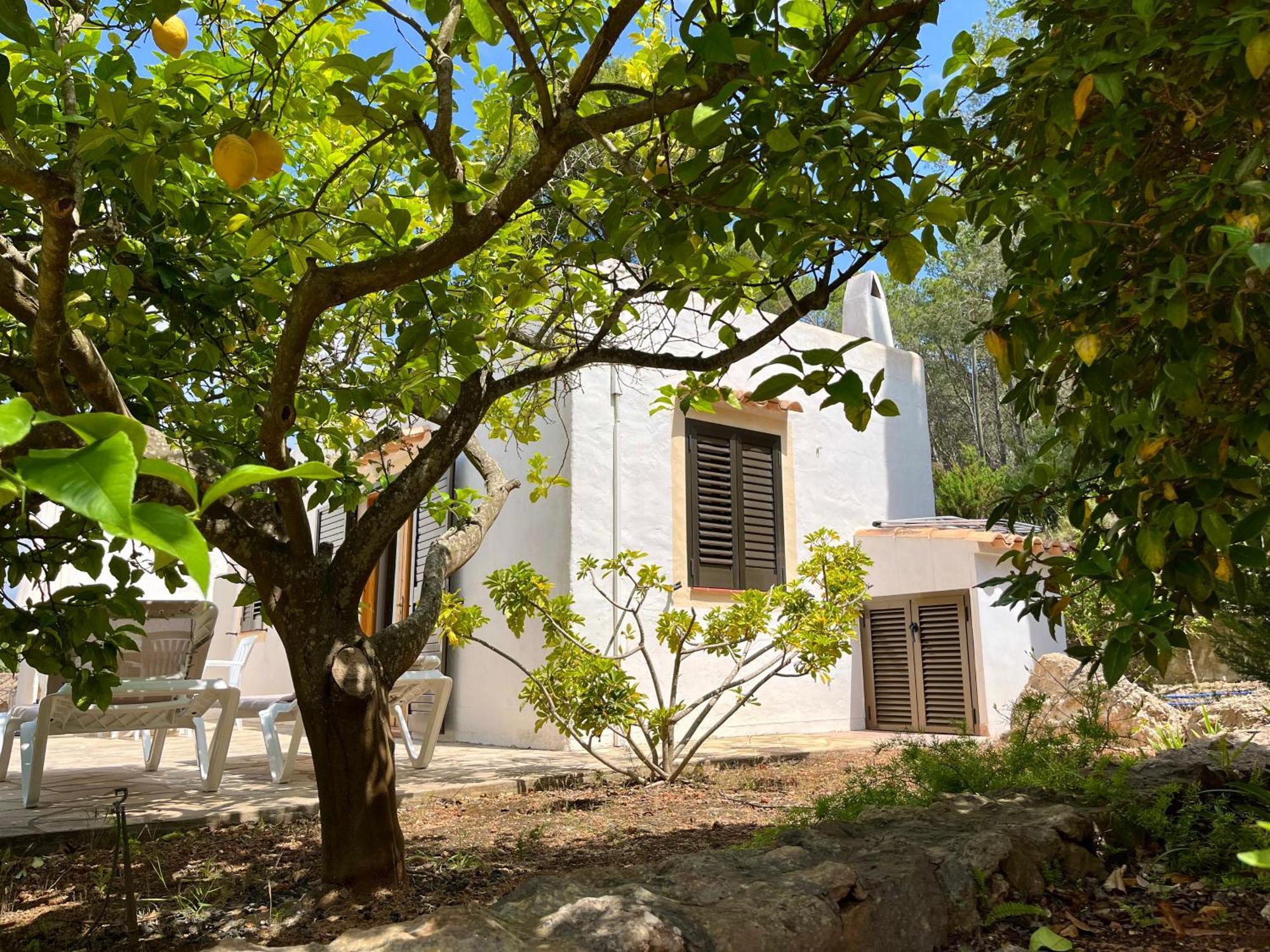 Pinosol Farm stay Santa Eularia des Riu