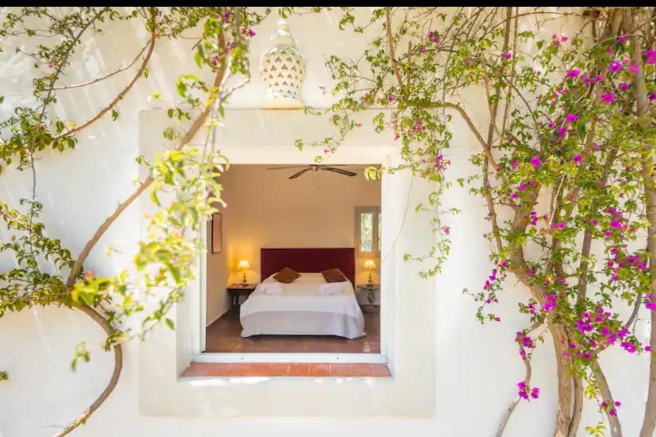 Torres Con Piscina Y Jardin, Santa Gertrudis Villa
