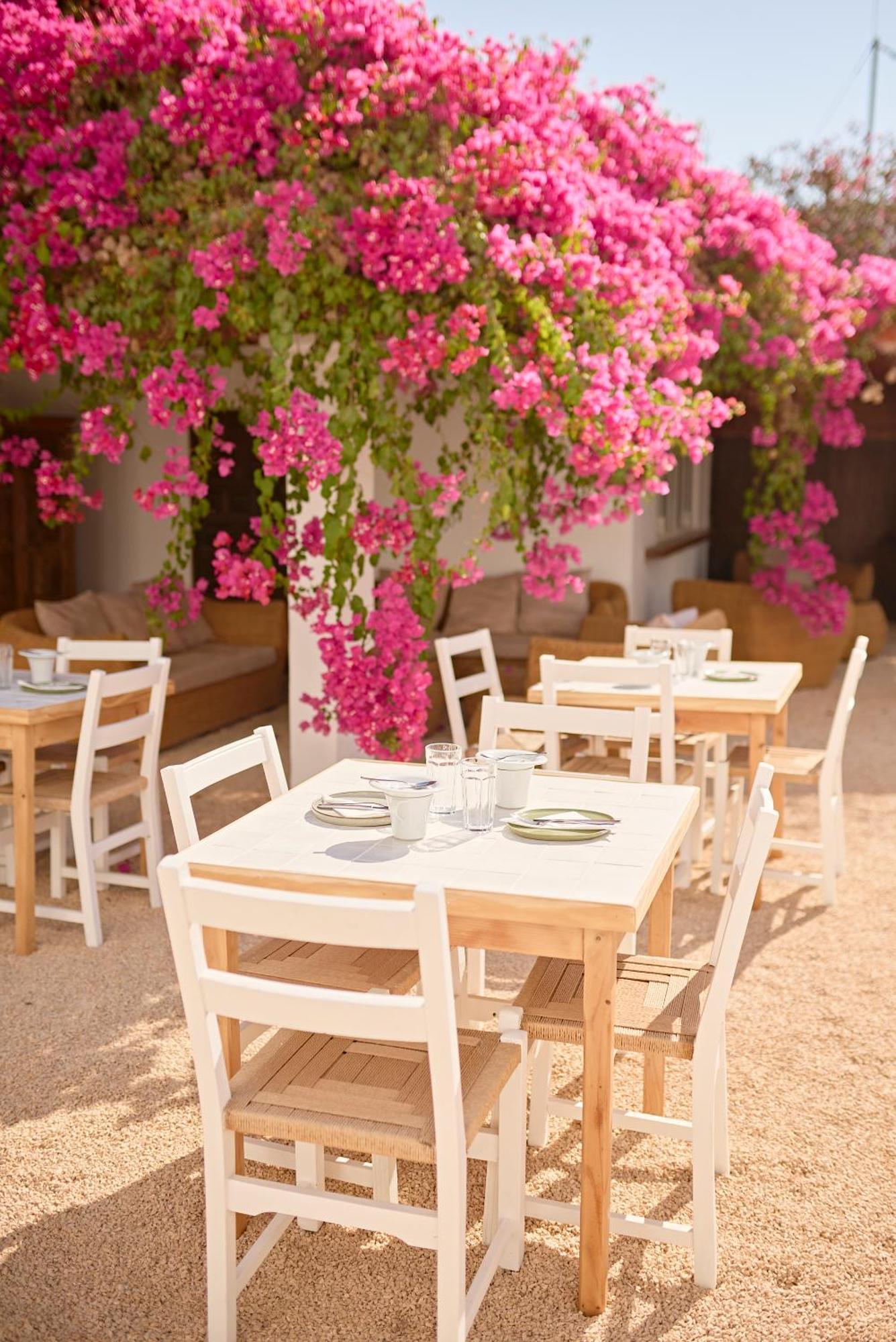 Ibara Ibiza Boutique 3* Es Canar (Ibiza)