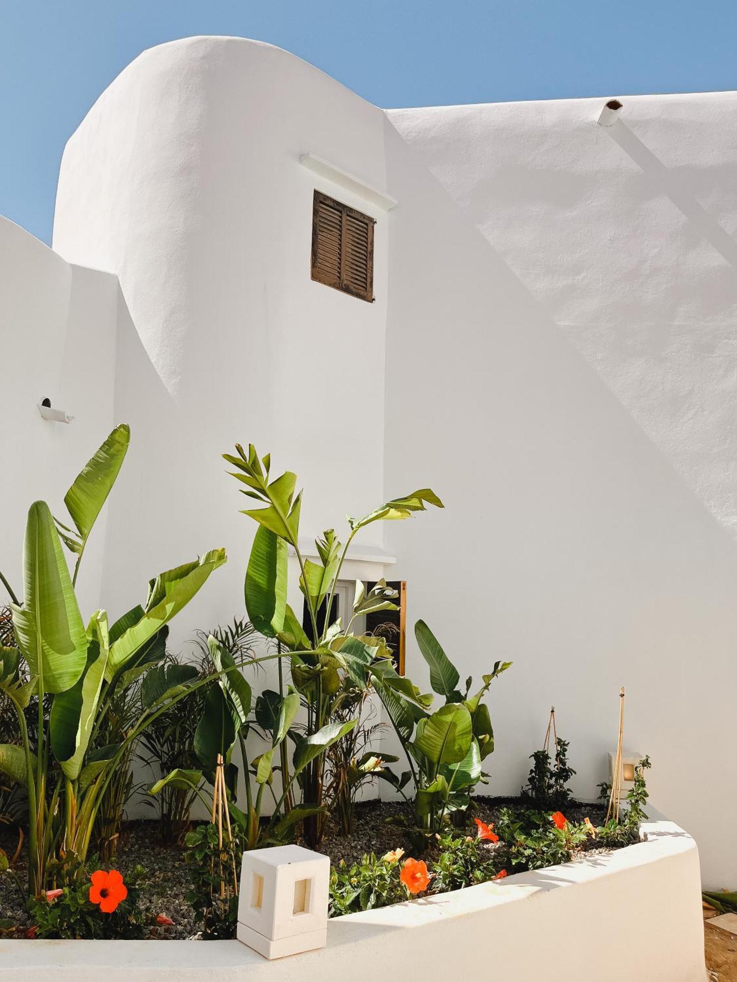 Hotel Fergus Style Punta Arabi