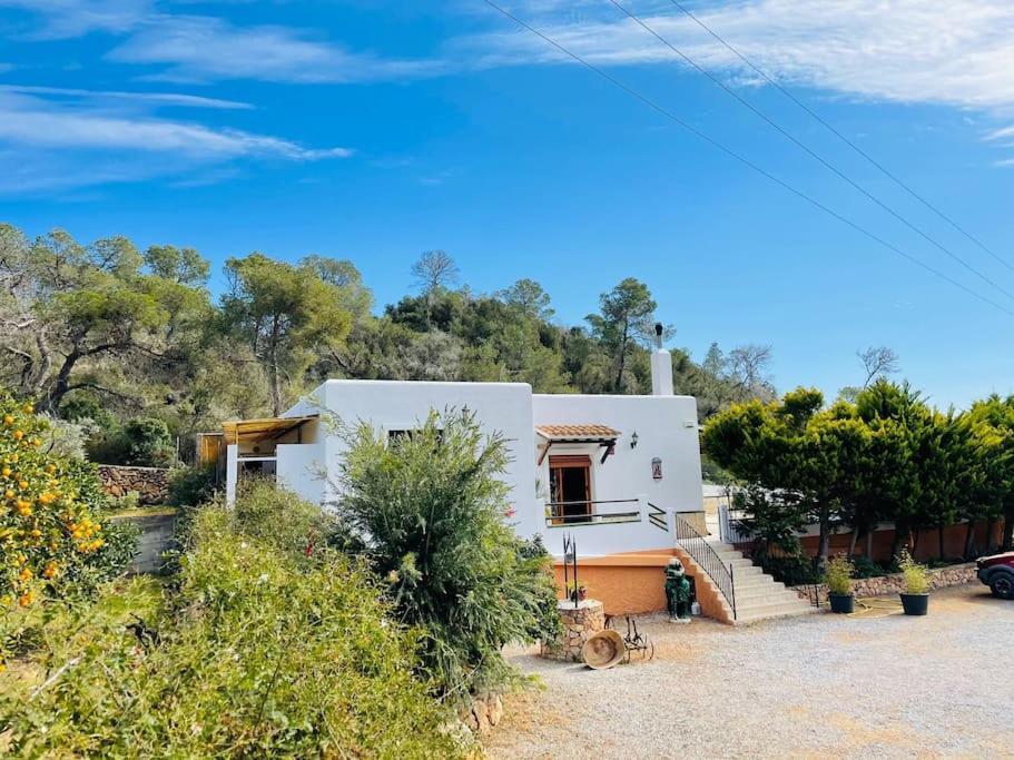 Rocio San Antonio (Ibiza)
