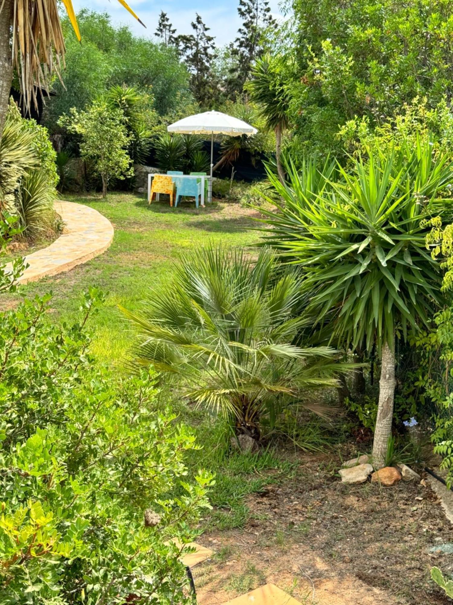 Villa Micasa Ibiza Sant Antoni de Portmany