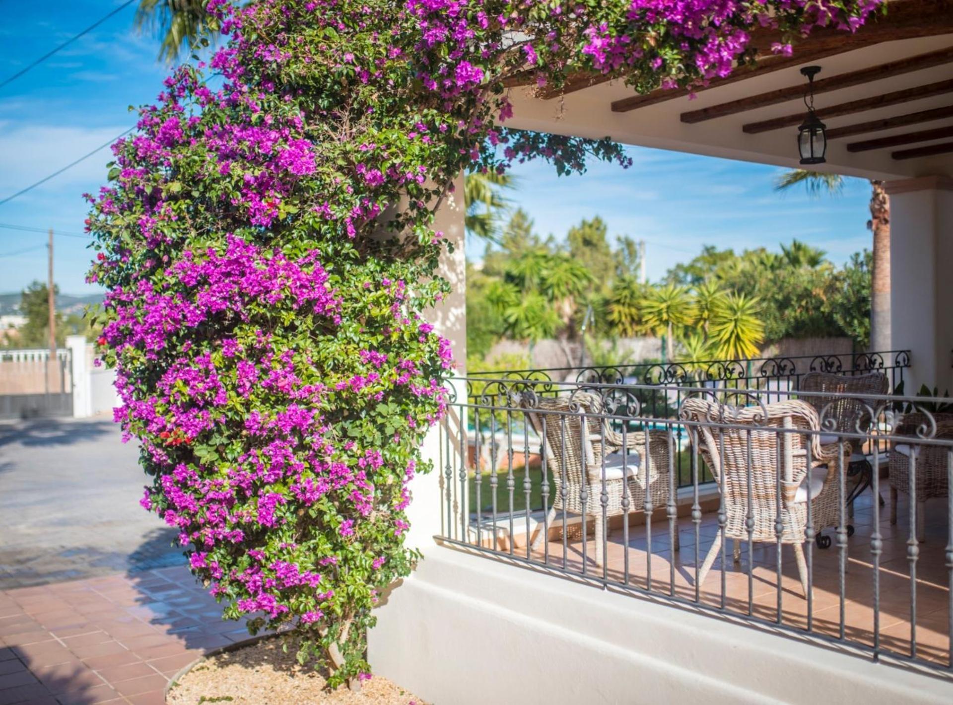 Villa Can Petrus, Con Piscina Y Wifi Gratis *