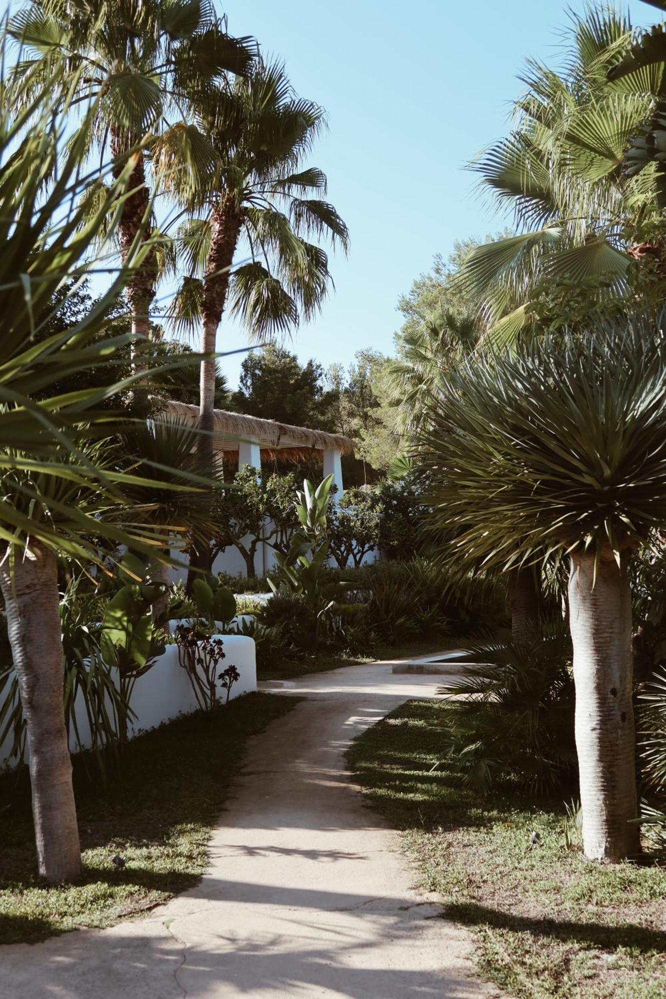 Pure House Ibiza Hotel