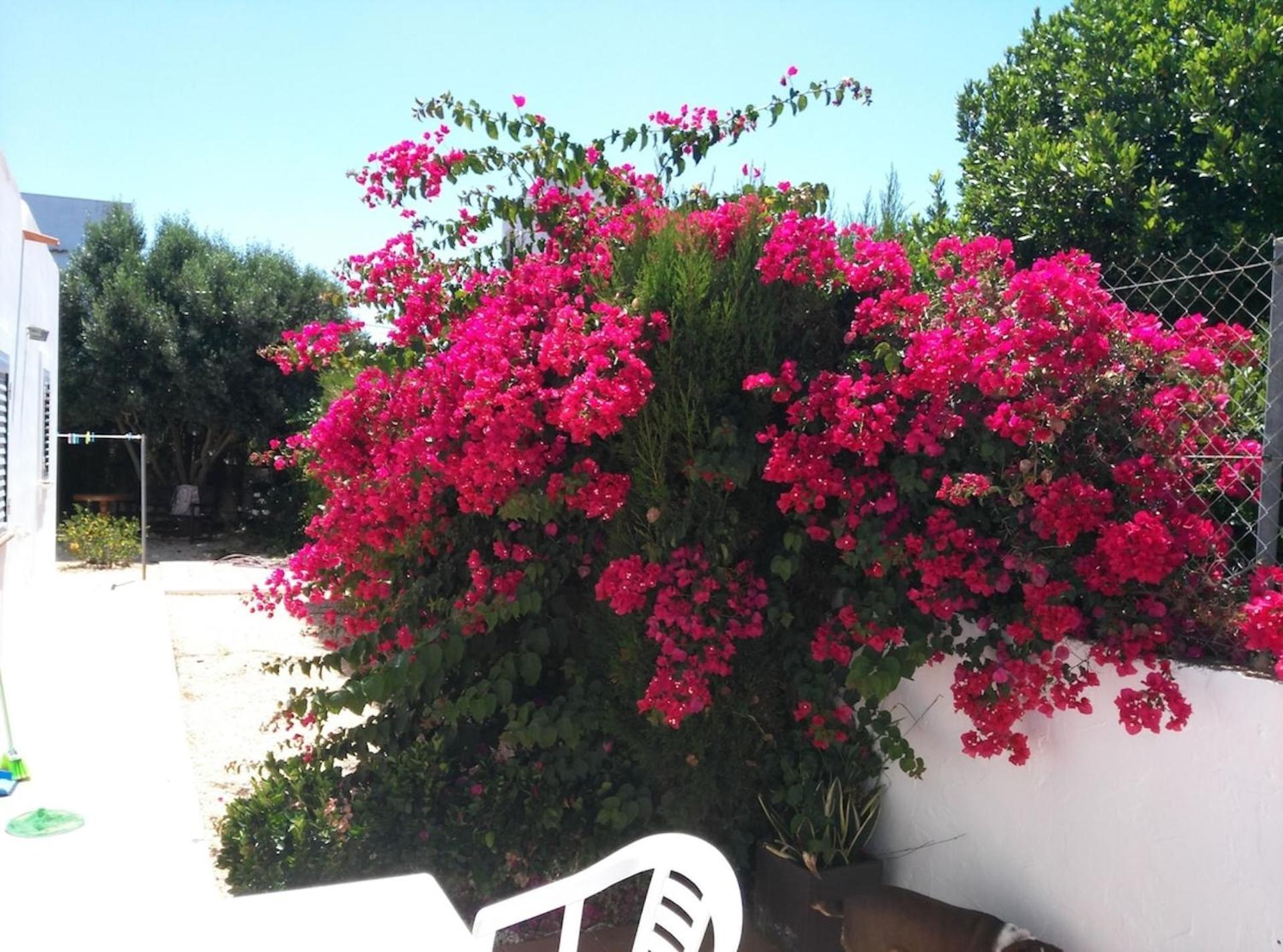 Holiday home Casa Susana *