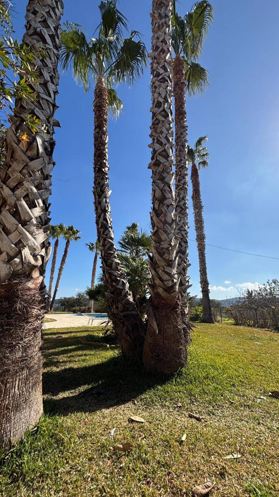 Cas Ramons Villa Sant Miquel De Balansat
