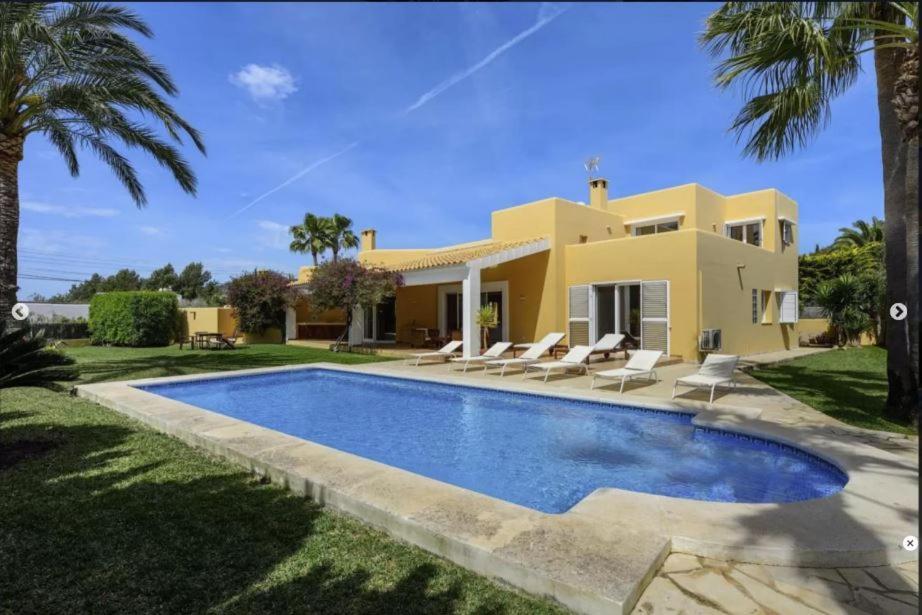 Aloe Ibiza *