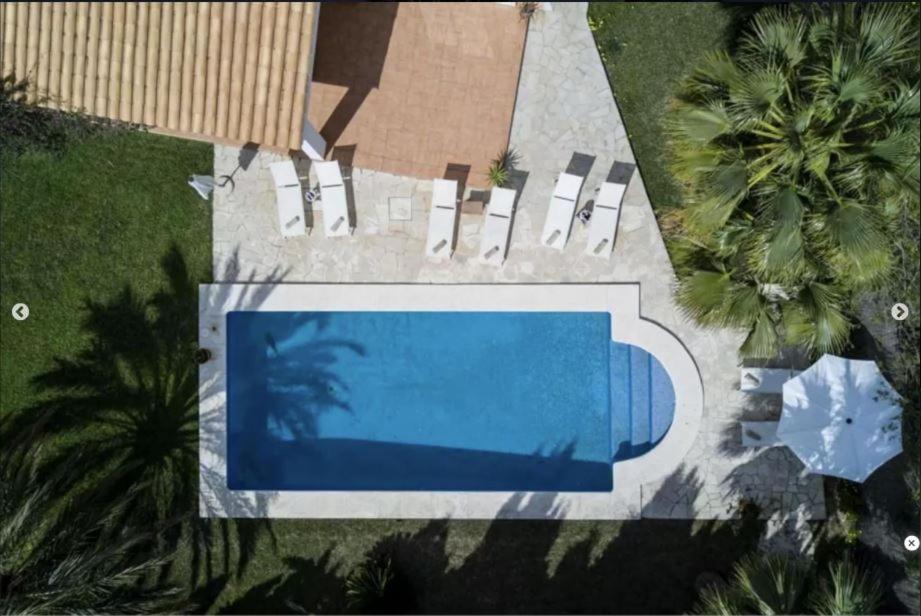 Aloe Ibiza * Sant Jordi de ses Salines