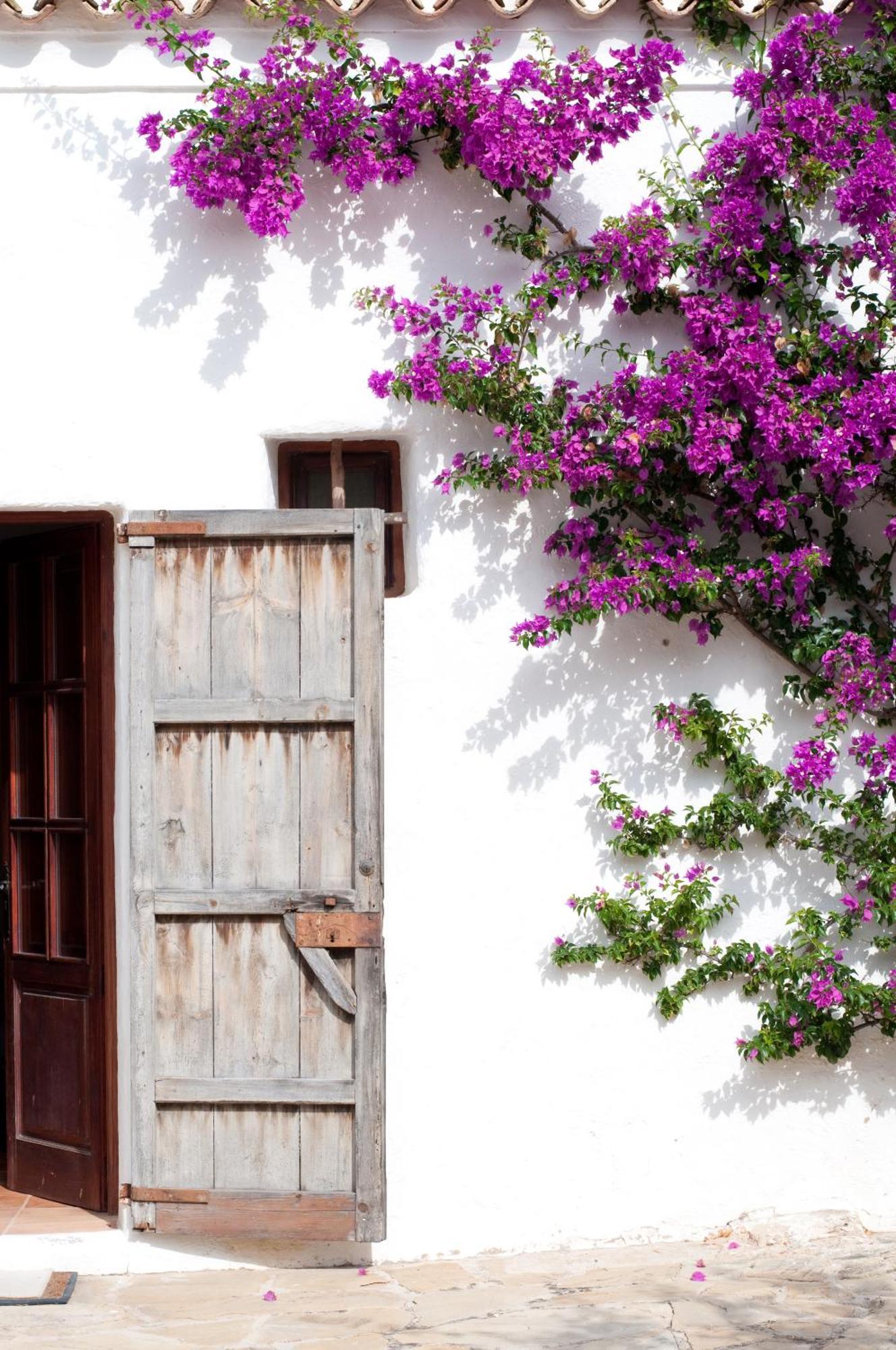 Casa La Vista Alojamento de Acomodação e Pequeno-almoço Sant Joan De Labritja