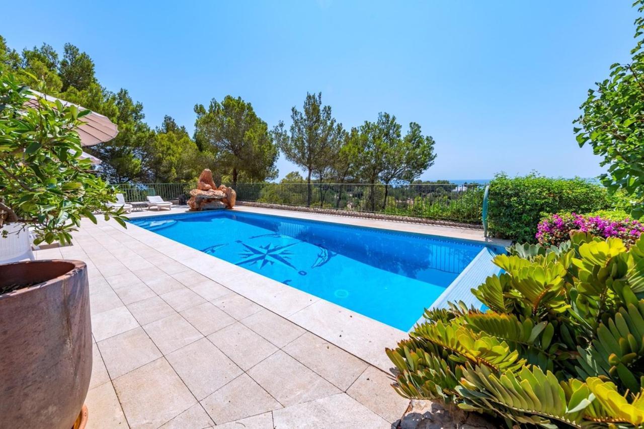 Azumar, Piscina, Jardin *