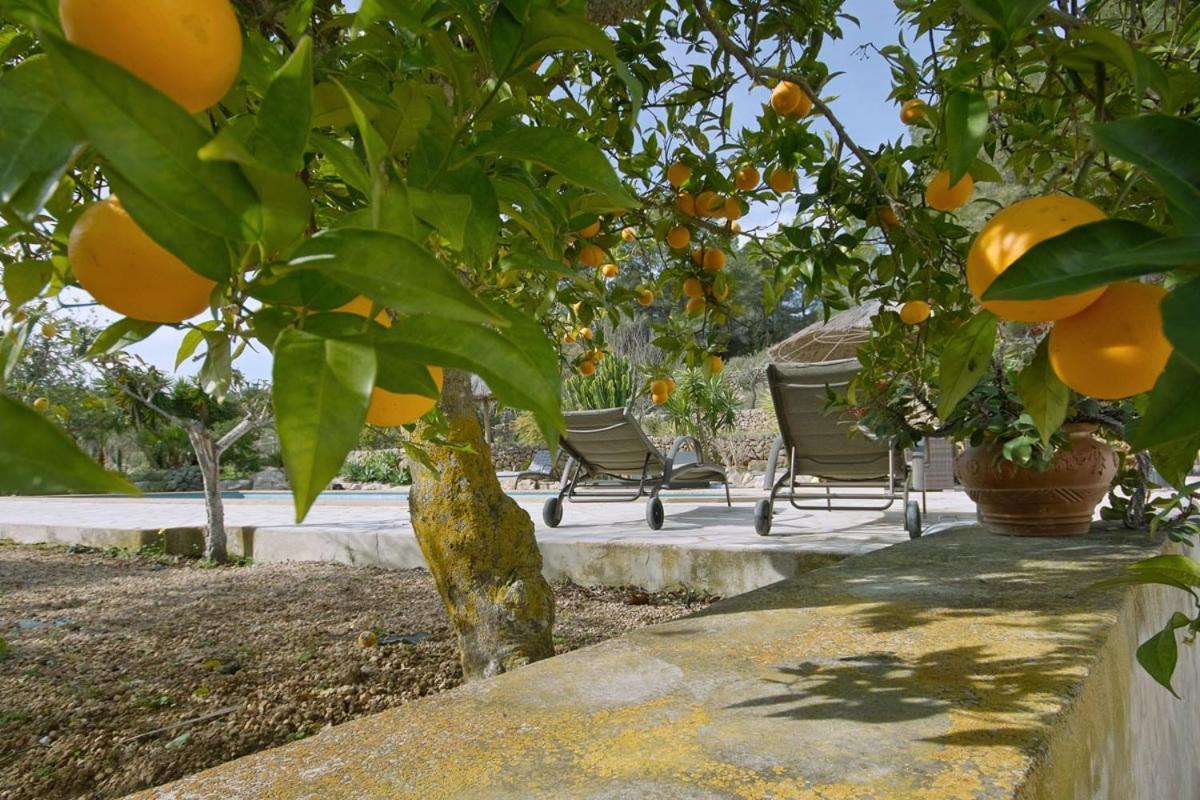 Maison Calme Wifi, Aircon, Private Pool * Santa Agnes de Corona