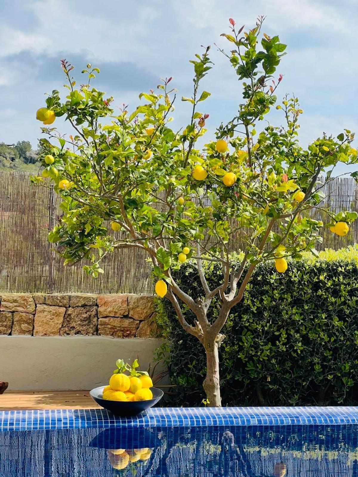 Lifestyle Cap Martinet Ibiza Villa Talamanca (Ibiza)