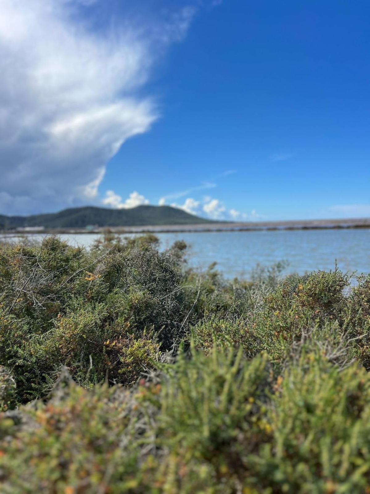 Apartment Private - Stunning View Salinas Ses Salines (Ibiza)