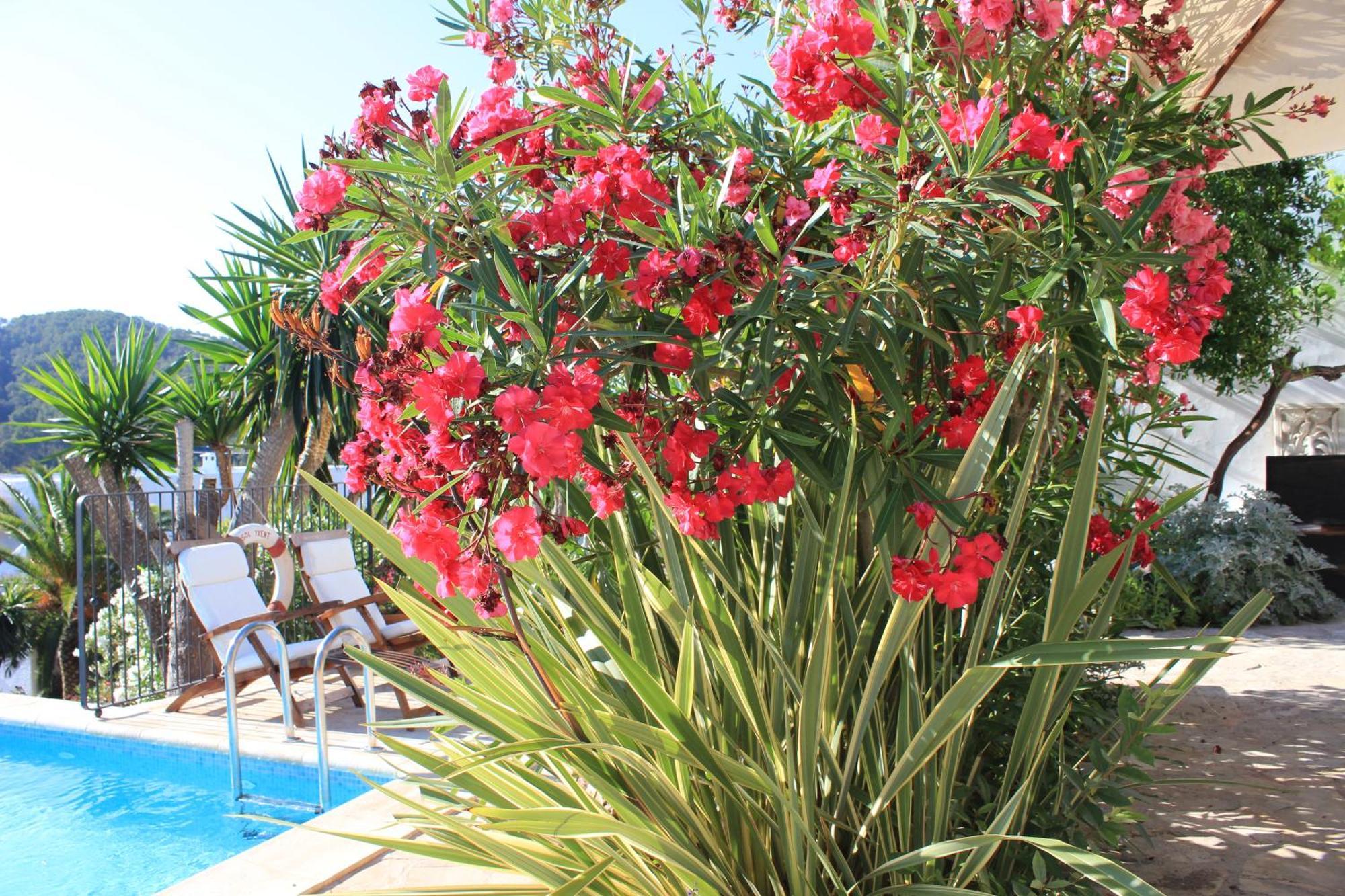 Agroturismo Can Pardal * Sant Miquel De Balansat