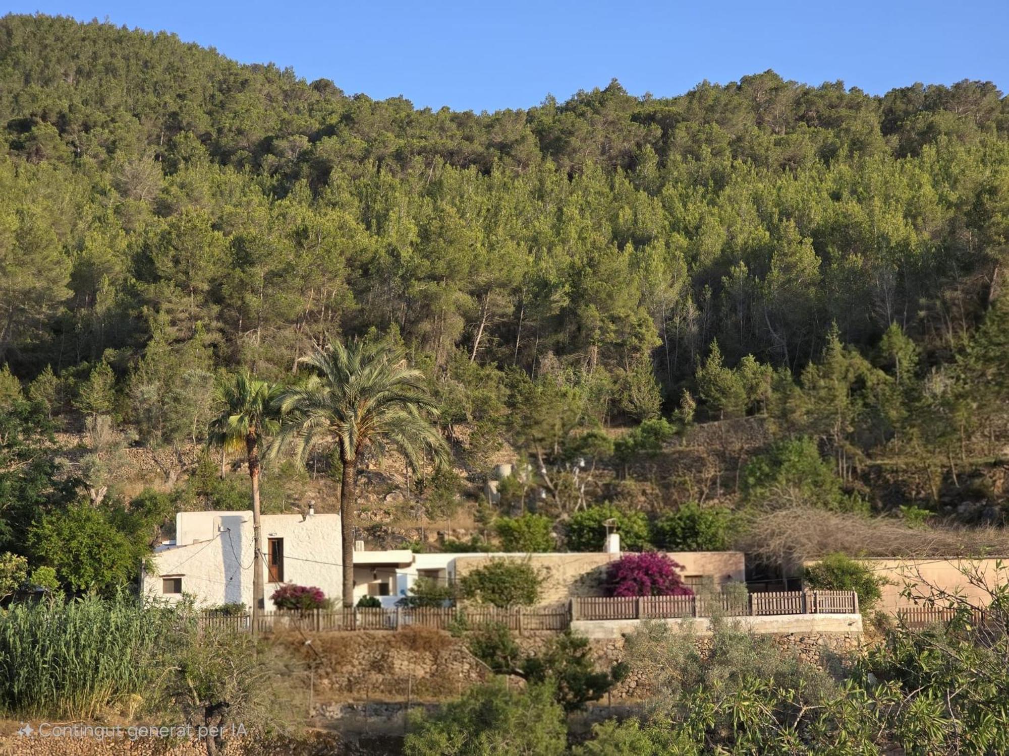 Rotes Con Jardin Y Barbacoa * Sant Joan De Labritja
