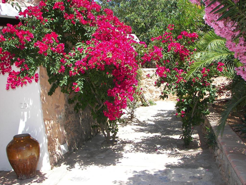 Farm stay Pere Sord *