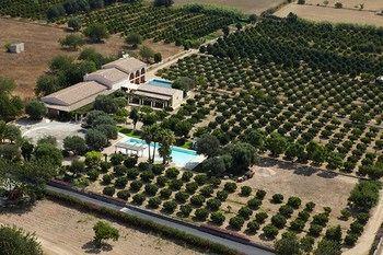 Can Arabi Hotel Puig D'en Valls