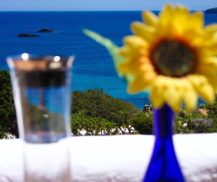 Arenal D'or Apartment