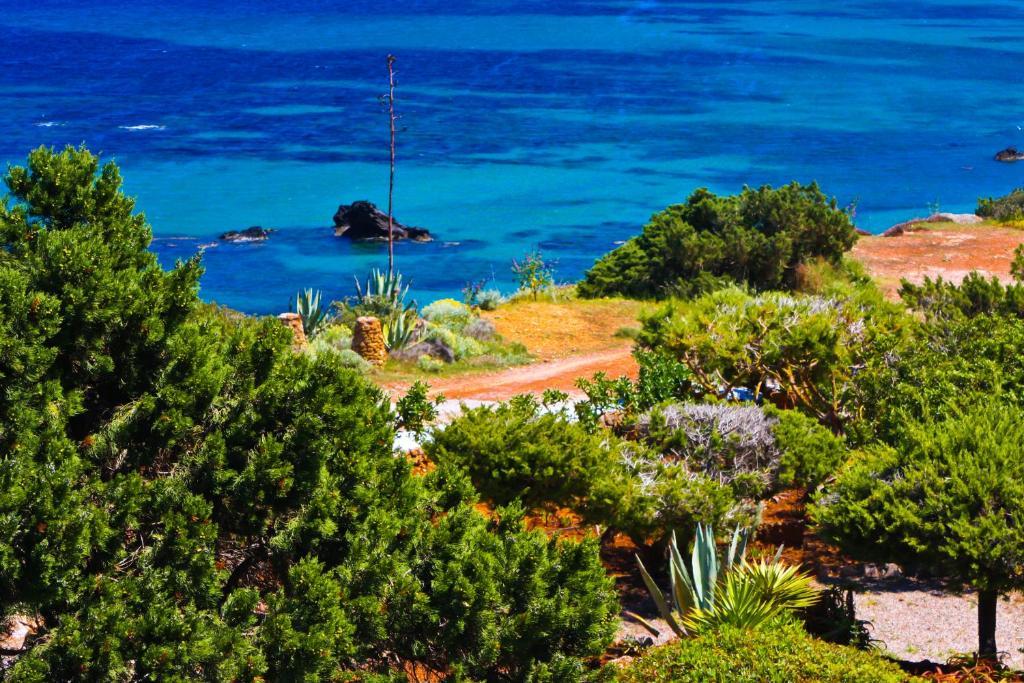 Arenal D'or Playa Des Figueral