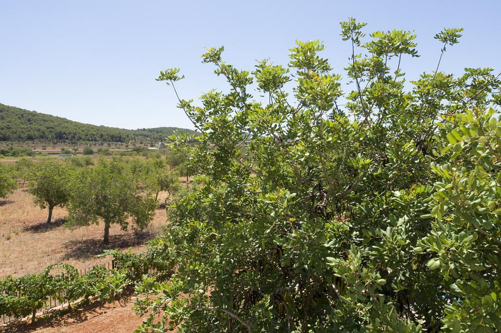 Villa Es Casals Nou