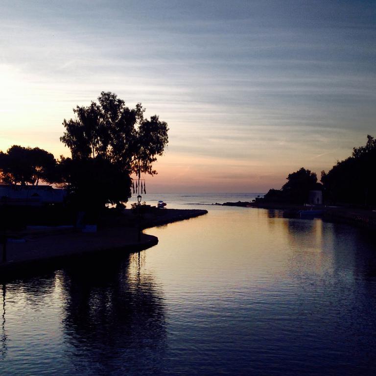 Hotel Insotel Fenicia Prestige Suites&spa 5*