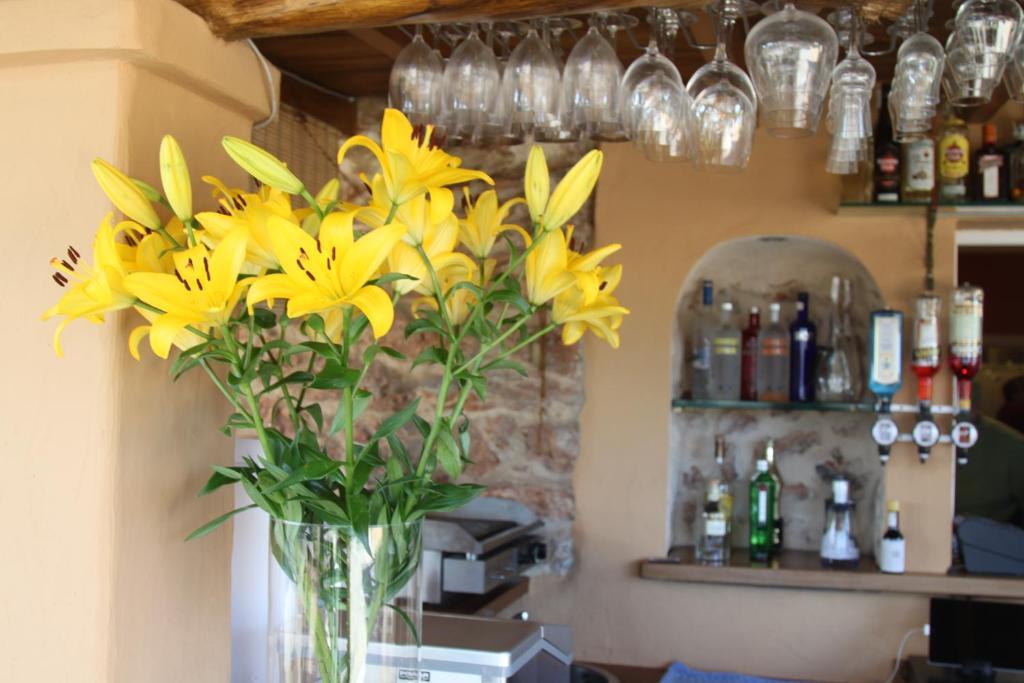 Finca Can Toni