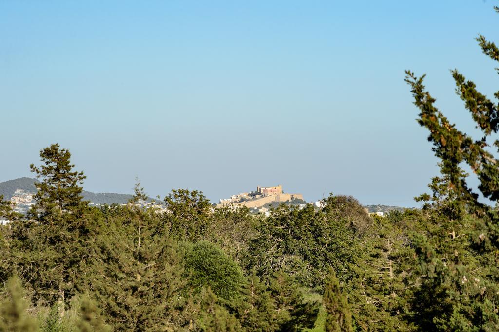 Villa Mercedes San José