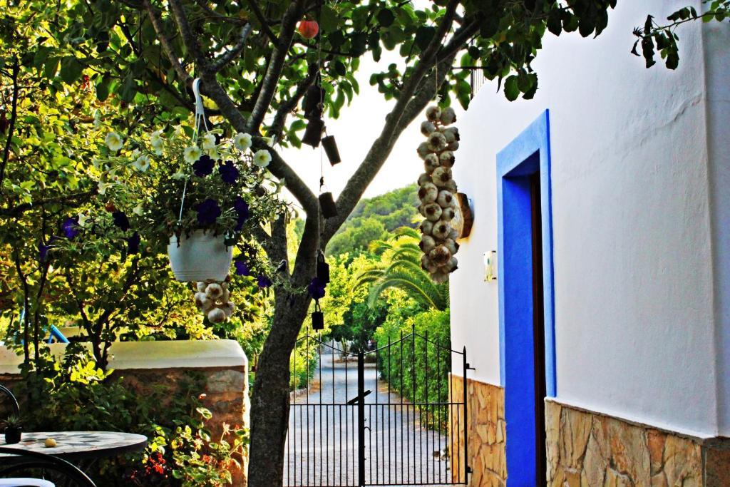 Fuster * Sant Joan De Labritja