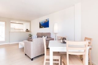 Marina Palace Apartamento San José