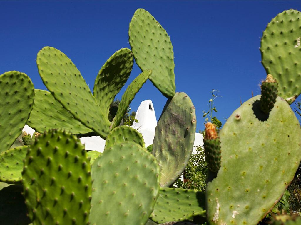 Hotel Agroturismo Ca N'escandell