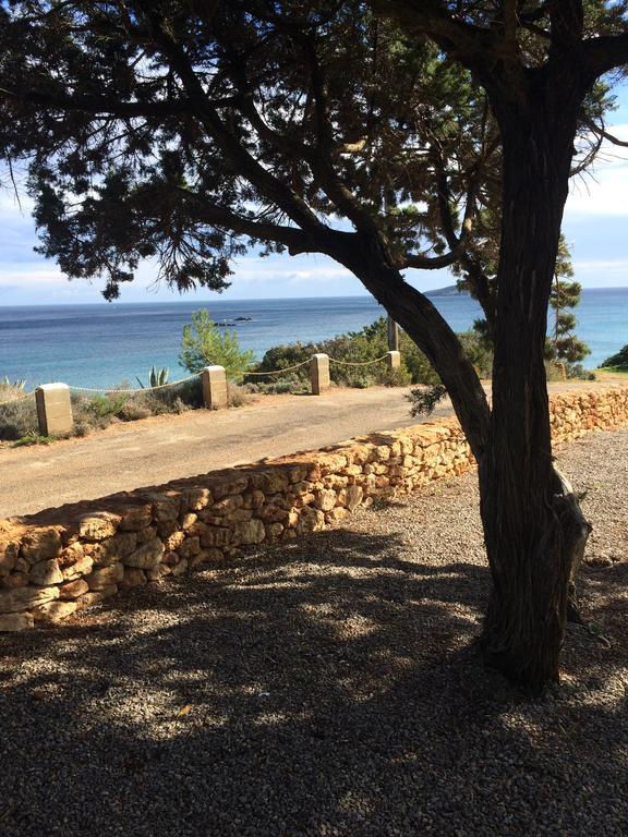 Arenal D'or Apartment Playa Des Figueral