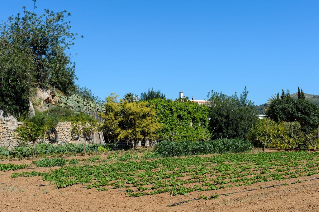 Agroturismo Ca Sa Vilda Marge