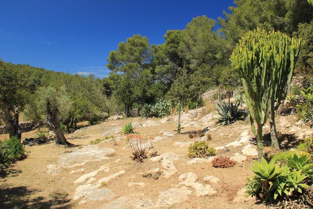 Casa Vilda Sant Mateu d'Albarca