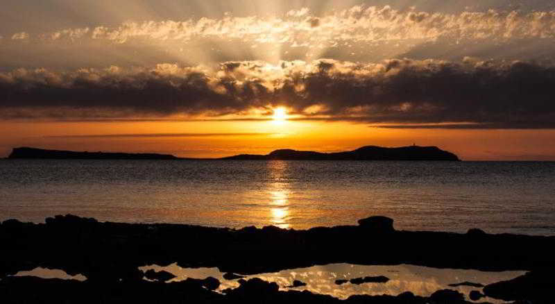 Salia 4* San Antonio (Ibiza)