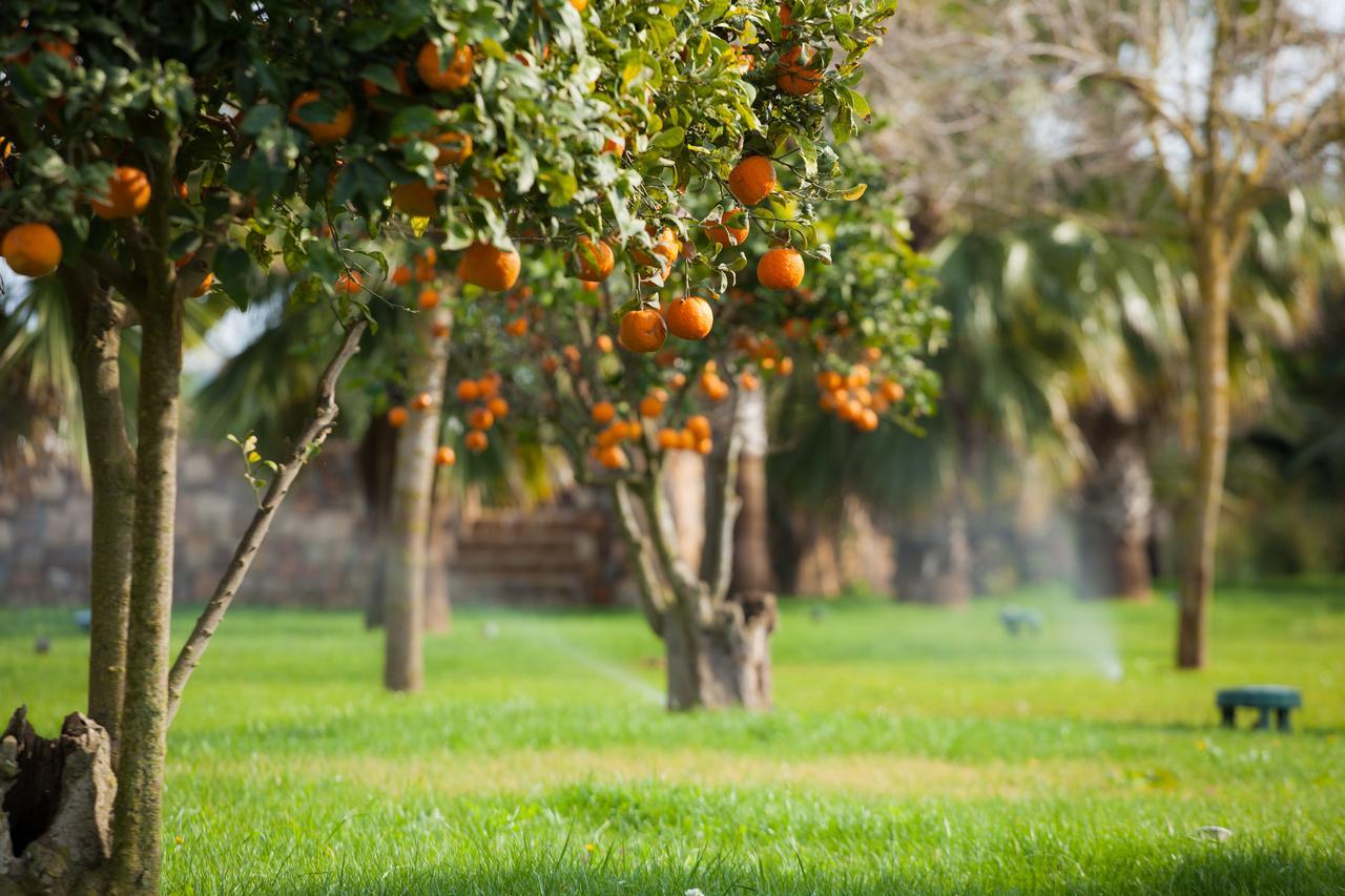 Agroturismo Rural Xereca Nuestra Señora de Jesús