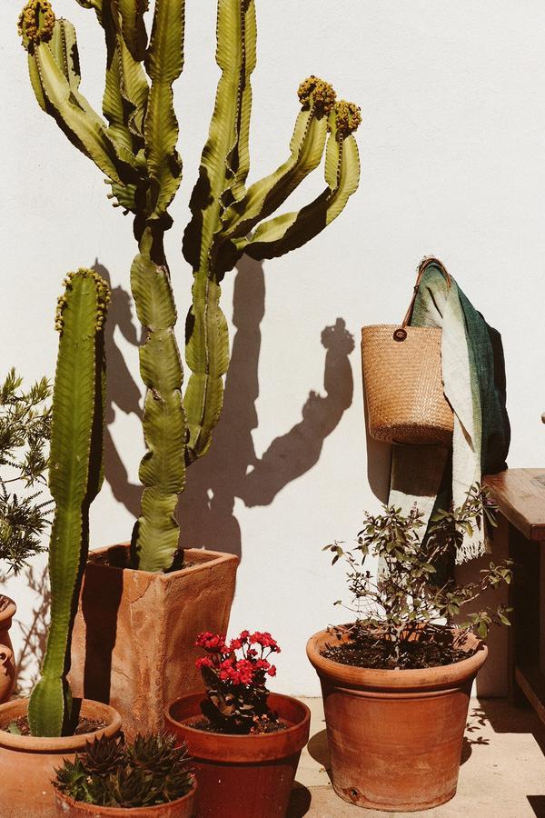 Country house The Finca Ibiza *