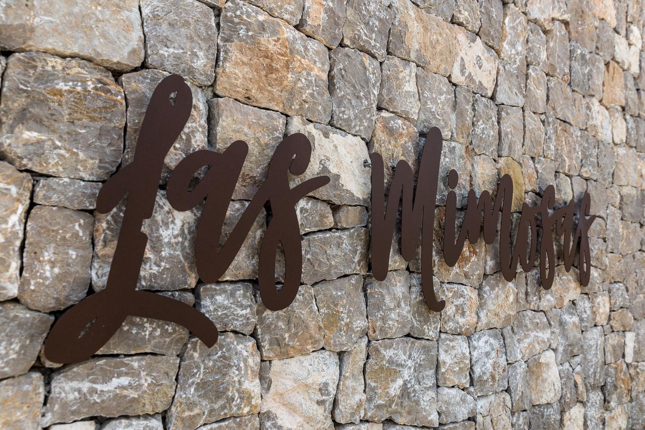 Hotel Boutique & Mimosas Ibiza (adults Only) San Antonio (Ibiza)