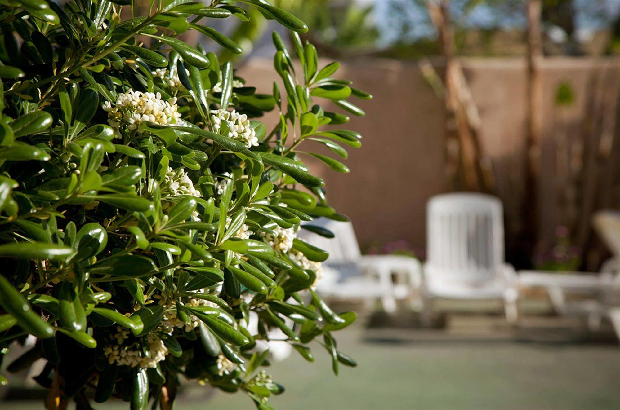 Vibra Marco Polo Ii - Adults Only Hotel 3*