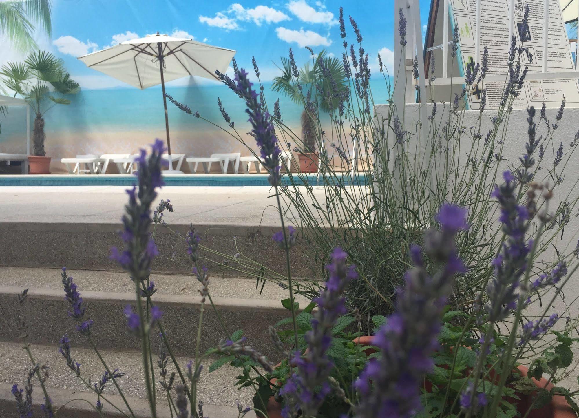 All Ibiza Aparthotel