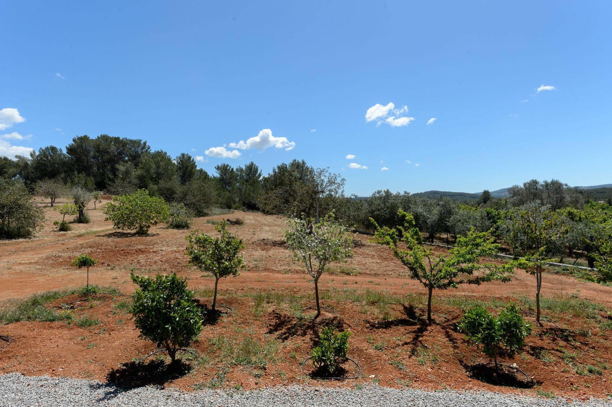 Can Vinyes Villa Santa Gertrudis (Ibiza)
