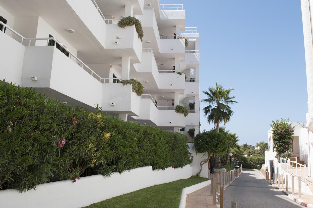 Camelina San Antonio (Ibiza)