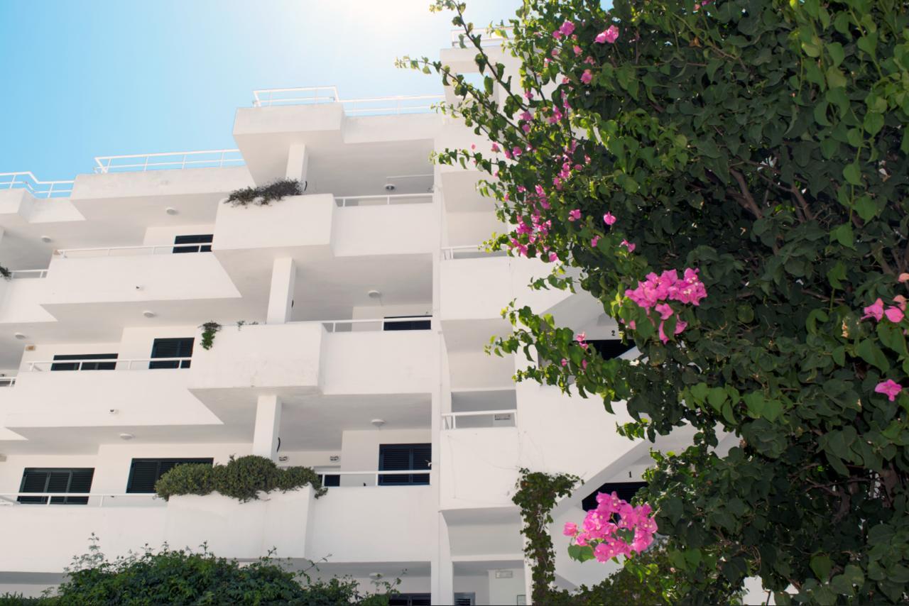Camelina 3* San Antonio (Ibiza)