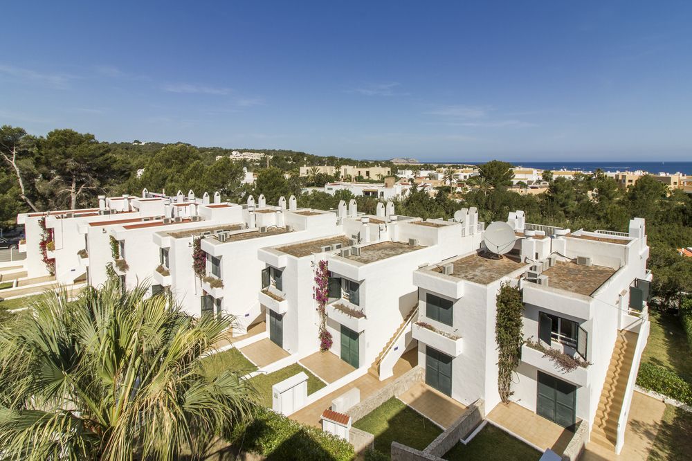 Camelina San Antonio (Ibiza)