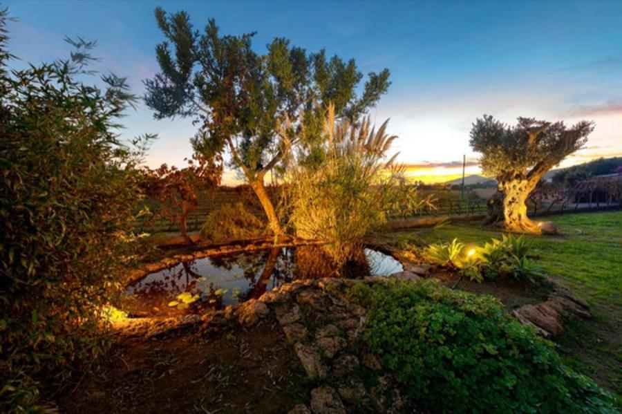 Alma Villa Sant Josep de sa Talaia