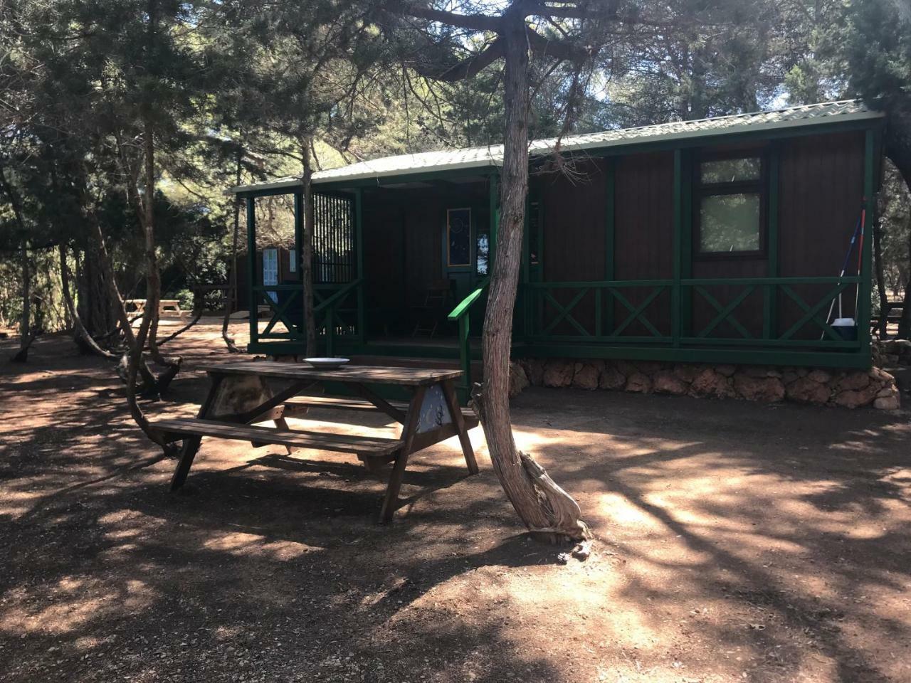 Campsite Camping La Playa Ibiza