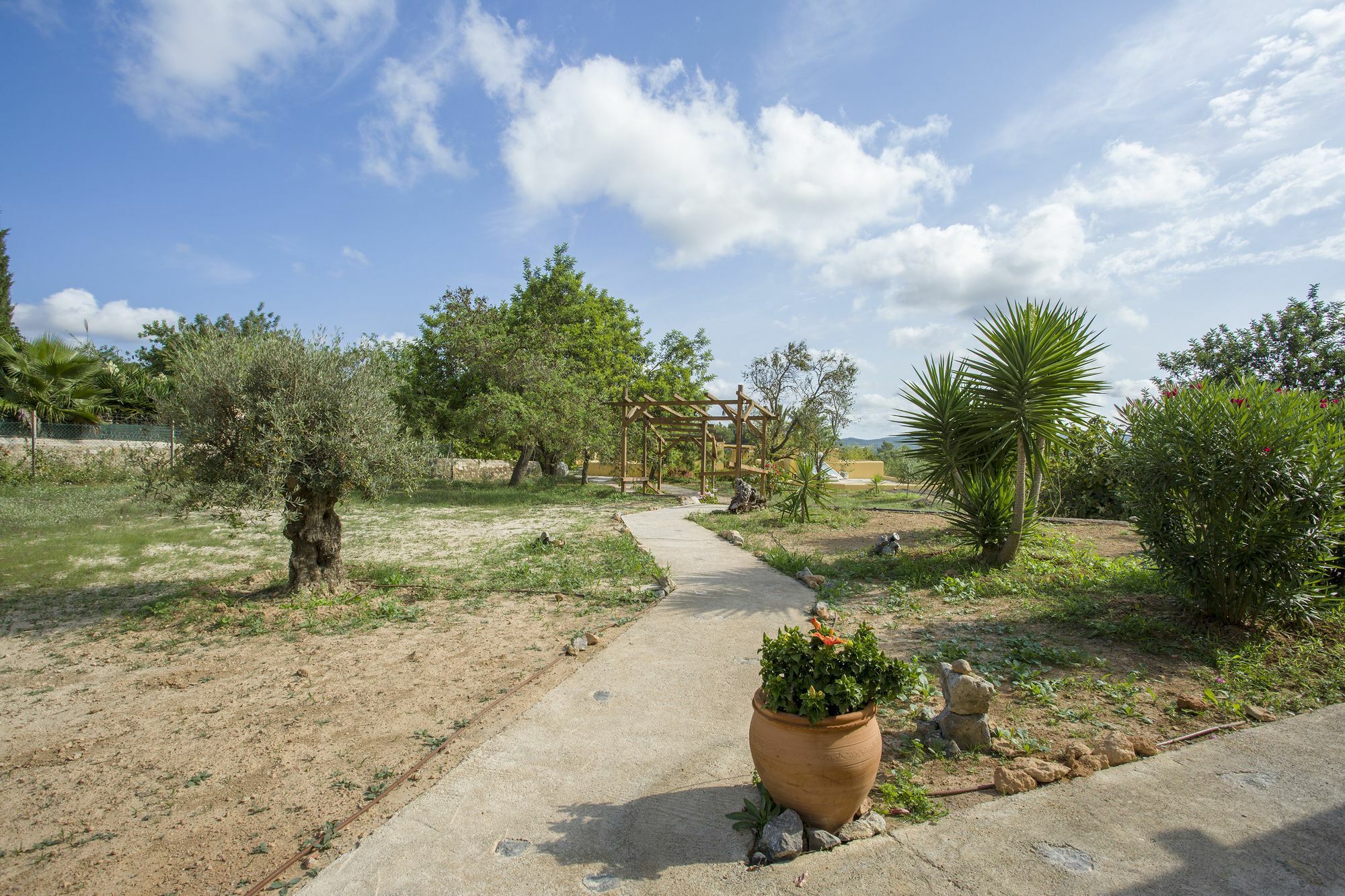 Hotel Mariposas Ibiza 3*