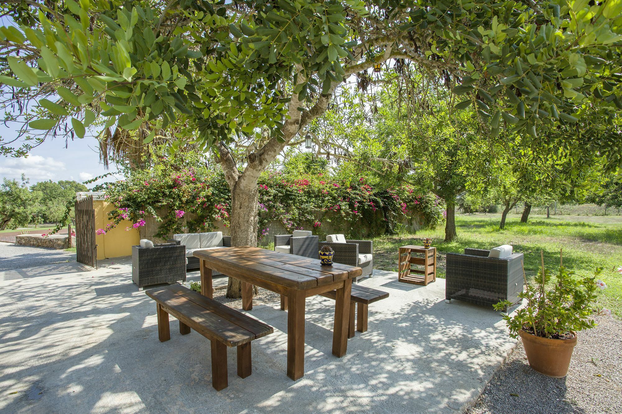 Mariposas Ibiza San Rafael De Sa Creu